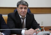 Проблема безнадзорных собак в центральной части Махачкалы решена более чем на 90%