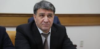 Проблема безнадзорных собак в центральной части Махачкалы решена более чем на 90%