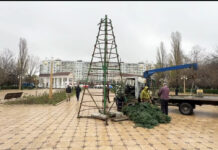 Где в Махачкале будут установлены новогодние елки?