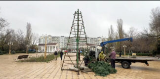 Где в Махачкале будут установлены новогодние елки?