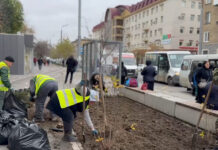 В Махачкале продолжается озеленение городских пространств