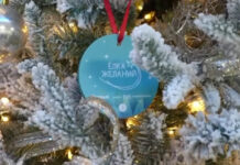 В Махачкале стартовала акция «Ёлка желаний»