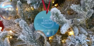 В Махачкале стартовала акция «Ёлка желаний»