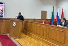 Проблема бродячих животных в Махачкале решена на 90%