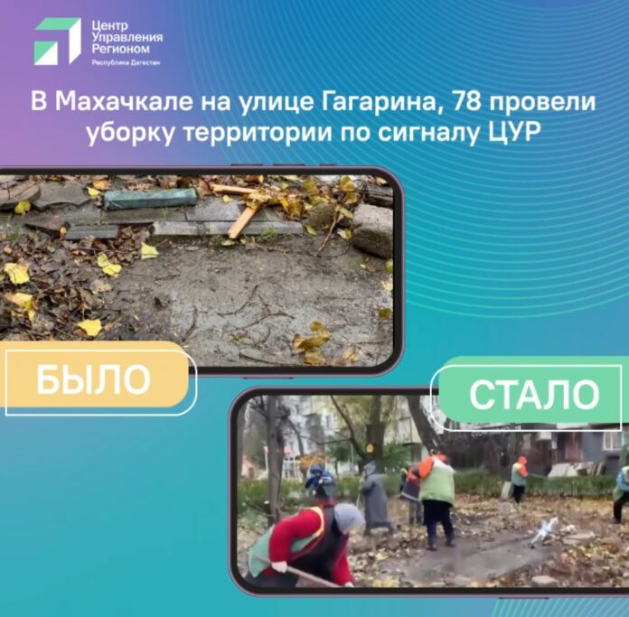 WhatsApp Image 2025-12-11 at 16.29.06