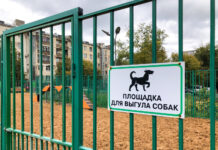 ГОСТ для выгула собак