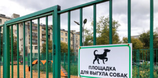 ГОСТ для выгула собак