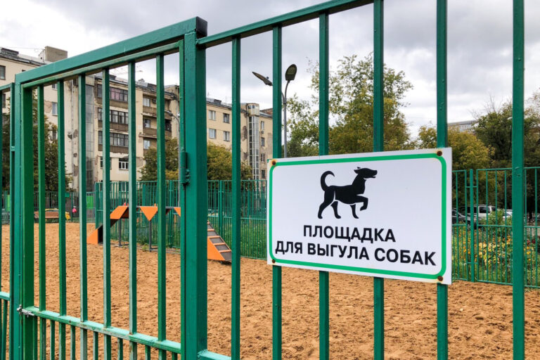 ГОСТ для выгула собак