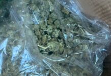 В Дагестане пресекли ввоз наркотического средства при досмотре импортного укропа