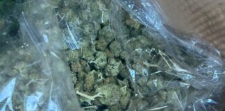 В Дагестане пресекли ввоз наркотического средства при досмотре импортного укропа