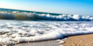 На благоустройство пляжей в Дагестане выделят 110 млн рублей