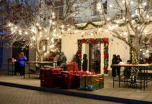 Предпринимателей поблагодарили за новогоднее украшение города