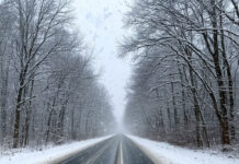 Сильный снегопад и усиление ветра до 22 метров в секунду ожидаются в Дагестане