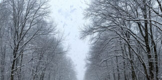 Сильный снегопад и усиление ветра до 22 метров в секунду ожидаются в Дагестане