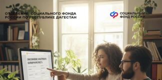 В Дагестане стартовал эксперимент по добровольному страхованию самозанятых