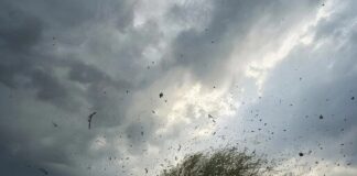 Сильный ветер ожидается по районам Дагестана