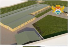 В Махачкале разработан проект питомника для бездомных животных