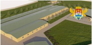 В Махачкале разработан проект питомника для бездомных животных