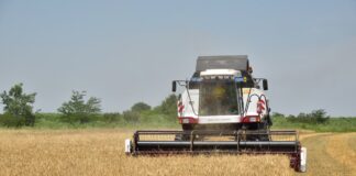 Аграрный сектор Дагестана показал уверенный рост: итоги 2025 года