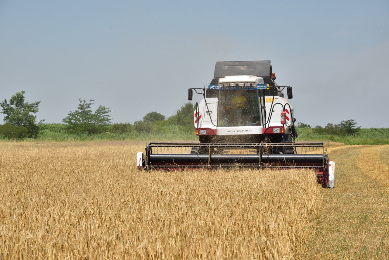 Аграрный сектор Дагестана показал уверенный рост: итоги 2025 года