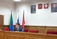 В Махачкале планируют создать один из лучших в России питомников для бездомных животных