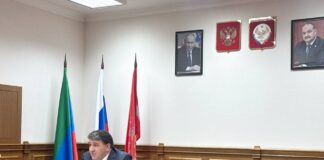 В Махачкале планируют создать один из лучших в России питомников для бездомных животных