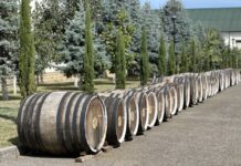 Дагестан представит семь новых проектов в федеральной программе развития агротуризма