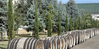 Дагестан представит семь новых проектов в федеральной программе развития агротуризма