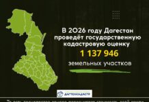 В Дагестане началась процедура государственной кадастровой оценки земельных участков