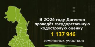 В Дагестане началась процедура государственной кадастровой оценки земельных участков