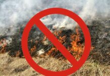 Махачкалинцам напомнили о запрете на сжигание сухостоя и пожнивных остатков