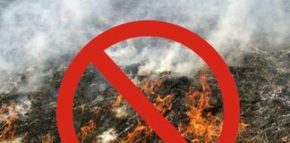 Махачкалинцам напомнили о запрете на сжигание сухостоя и пожнивных остатков