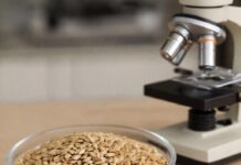 В преддверии весенней посевной кампании в Дагестане проверят качество семян