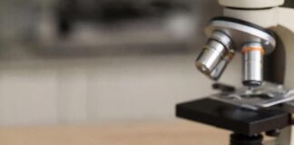 В преддверии весенней посевной кампании в Дагестане проверят качество семян