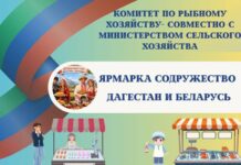 В Махачкале пройдет Ярмарка продукции Дагестана и Беларуси