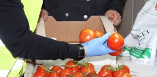 В Дагестане обнаружили около 300 тонн заражённых овощей и цитрусовых