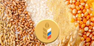 Россельхознадзор выявил нарушения при реализации более 1200 тонн зерна в Дагестане