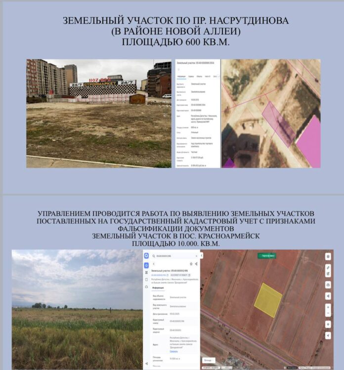 photo_2026-02-03 13.33.19