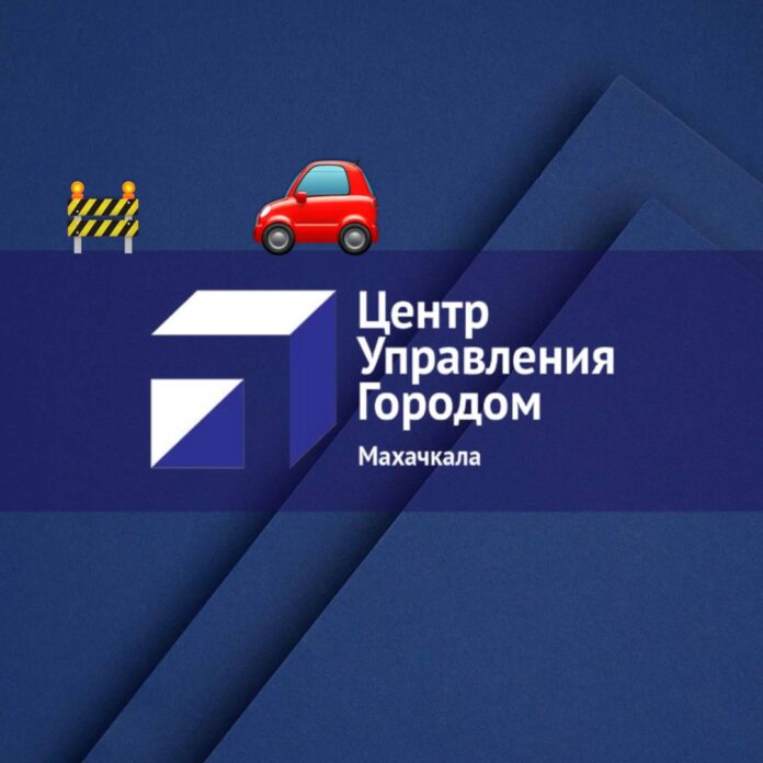 photo_2026-02-19 11.12.53