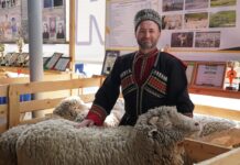 Дагестанские овцеводы представят уникальные породы на выставке в Элисте
