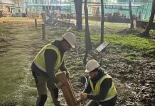 В парке Ленинского комсомола Махачкалы восстанавливают освещение