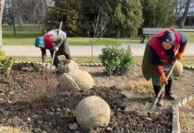 Дирекция парков и скверов активно готовится к озеленению