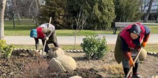 Дирекция парков и скверов активно готовится к озеленению