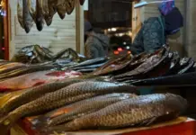 В Махачкале пройдет рыбная ярмарка к празднику Ураза-байрам
