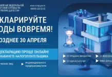 Дагестанцам напомнили о необходимости отчитаться о доходах до 30 апреля