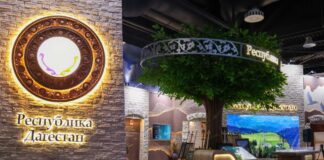 Махачкала может принять масштабную экспортную сессию