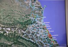 Площадь виноградников в Дагестане к 2035 году вырастет до 34,7 тыс. гектаров