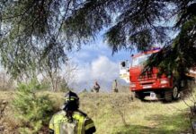 В Дагестане с 1 апреля начинается пожароопасный сезон