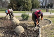 В Махачкале началась подготовка парковых зон к сезону весеннего озеленения