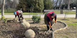 В Махачкале началась подготовка парковых зон к сезону весеннего озеленения